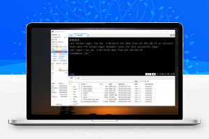 基础教程：Linux服务器远程SSH管理工具使用教程（FinalShell篇）-免费部落