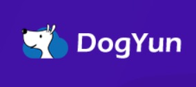 Dogyun：300元的韩国独立服务器，2*e5-2630L/16g内存/480gSSD+1T NVMe-免费部落