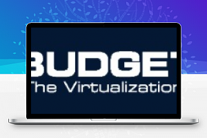BUDGETVM-美国日本物理机,5折优惠,$40/月,1Gbps不限流量,E3-1231v3/16g内存/1T硬盘,1800G高防-免费部落