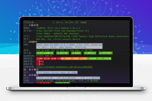 DediRock 洛杉矶补货 VPS:ColoCrossing 上游国际线路,最便宜的美国洛杉矶机器之一-免费部落